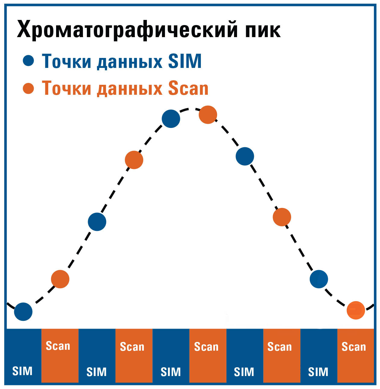 Данные режимов SIM и Scan собираются попеременно в определенных
временных точках, а в конце анализа создаются два отдельных сигнала данных. Каждый сигнал данных может обрабатываться как независимо полученный
сигнал SIM или Scan